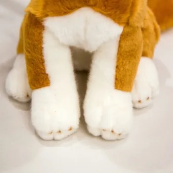 1 buc 28cm Japonez Spitz Vulpe Câine Jucărie de Pluș pentru copii Copii Copii Însoți de Simulare de Animale Papusa de Ziua de nastere Minunat Cadou de Crăciun