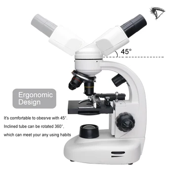 40X-1600X Binocular Microscop Biologic cu 360 de grade Rotativ Cap Optice Iluminat Microscop pentru Elev Experiment