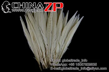CHINAZP Fabrica en-Gros Ieftine Pene 100buc/lot Lungime 30-35cm Vopsit Mix-culoare Ringneck Coada Pene de Fazan