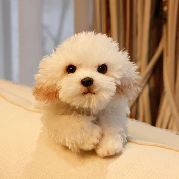 Drăguț moale animale maltese câine jucărie de pluș de calitate umplute minte animale de companie câini papusa cadou pentru copil 35x12x14cm