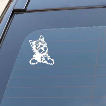 Masina Autocolant Drăguț și Interesant York Câine Auto Motociclete Autocolant Decorativ rezistent la apa Acoperă Zero Alb/Negru, 15 cm*13cm
