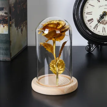 Piese de Sticlă cloche Borcan Display Stand Afișajul de pe Capac Terariu Sticla cu Baza din Lemn de Acoperire a Afișa Caseta de Nemuritor Cutie de Flori