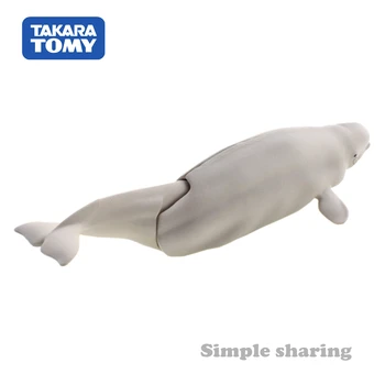 Takara Tomy ANIA Animal Advanture CA-16 Balenă Beluga Rășină Educative pentru Copii Mini figurina Jucarie Fleac