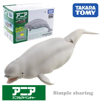 Takara Tomy ANIA Animal Advanture CA-16 Balenă Beluga Rășină Educative pentru Copii Mini figurina Jucarie Fleac