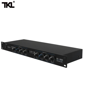TKL 2 canale de Sunet Audio de Excitație Procesor vorbitor de management pro procesor audio protea pro etapă echipamente audio