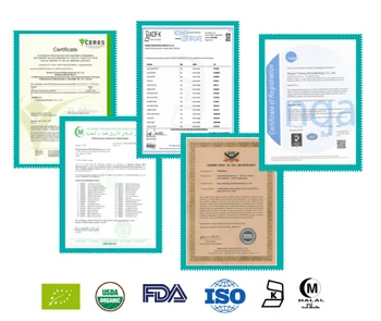 USDA și CE Certificate Organic resveratrol 98% Cuspidatum Extractive